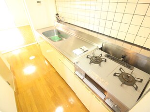 シティハイツ銀杏町の物件内観写真